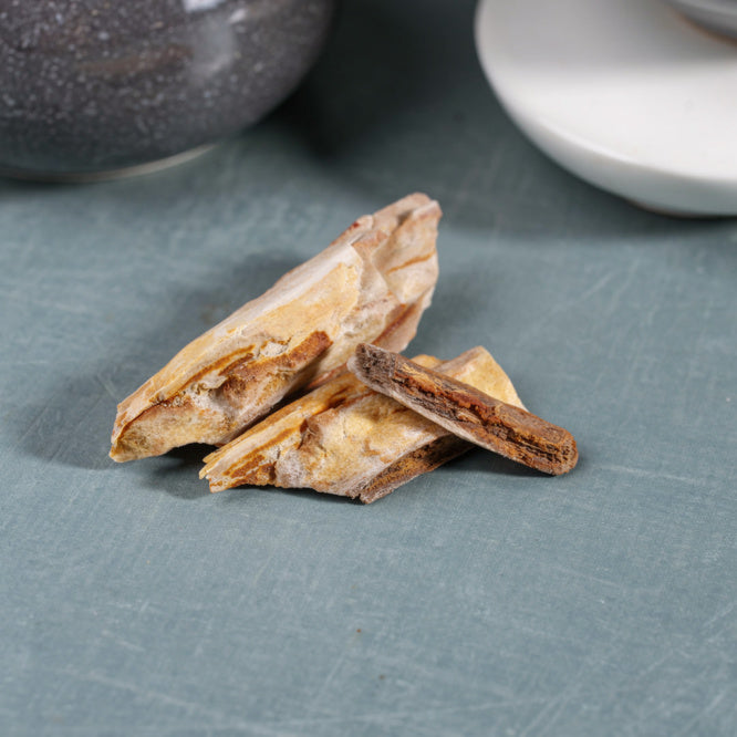 Kalavati Agate Premium Raw Petrified Wood Stone
