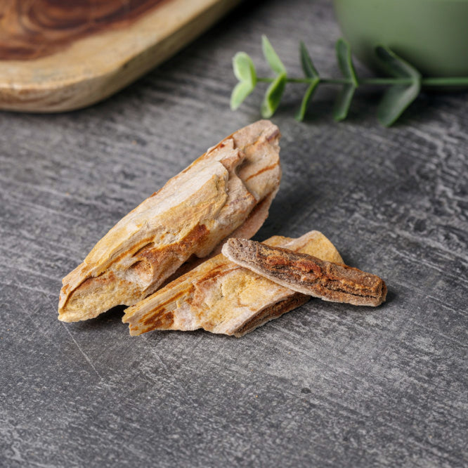 Kalavati Agate Premium Raw Petrified Wood Stone