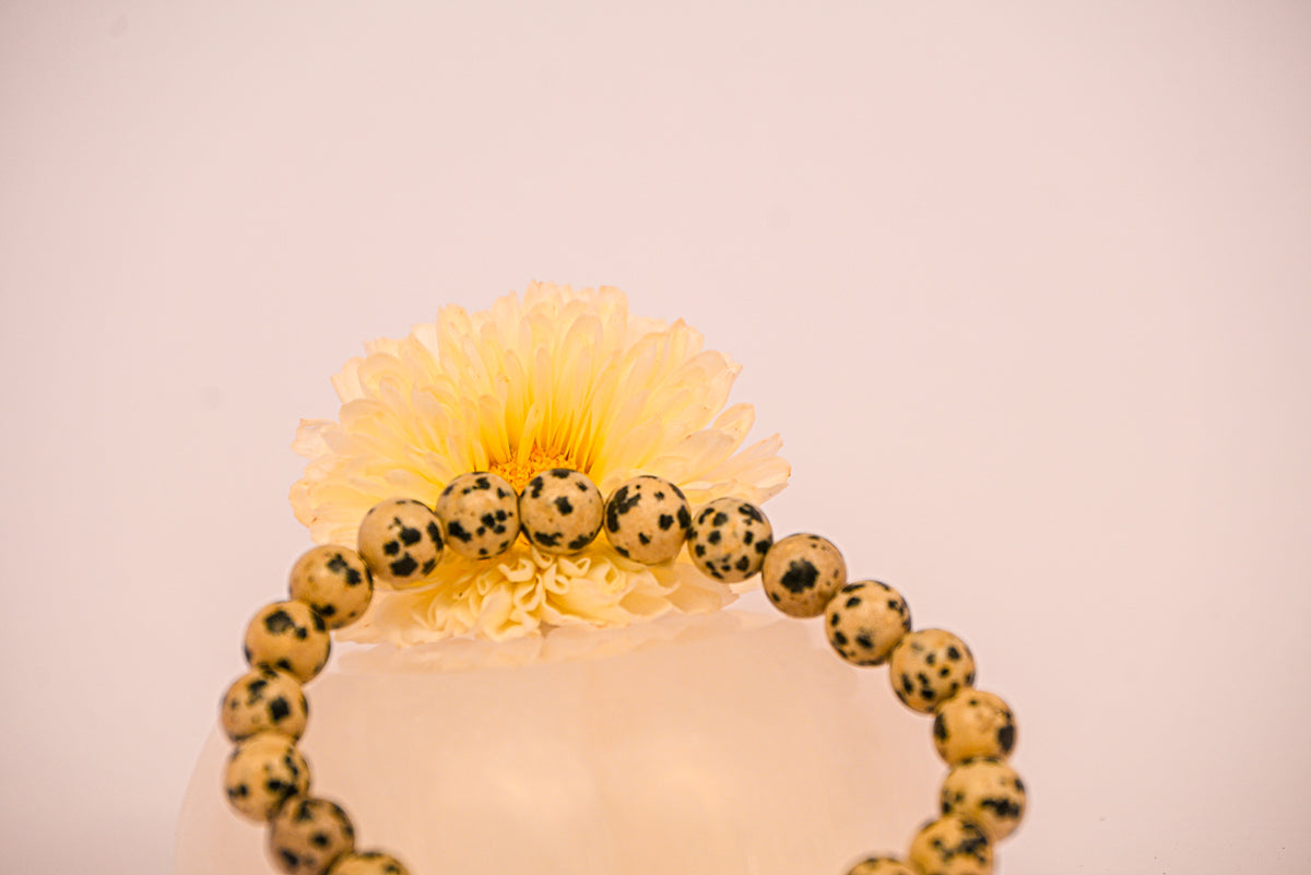 Kalavati Agate Dalmatian Jasper Crystal Bracelet