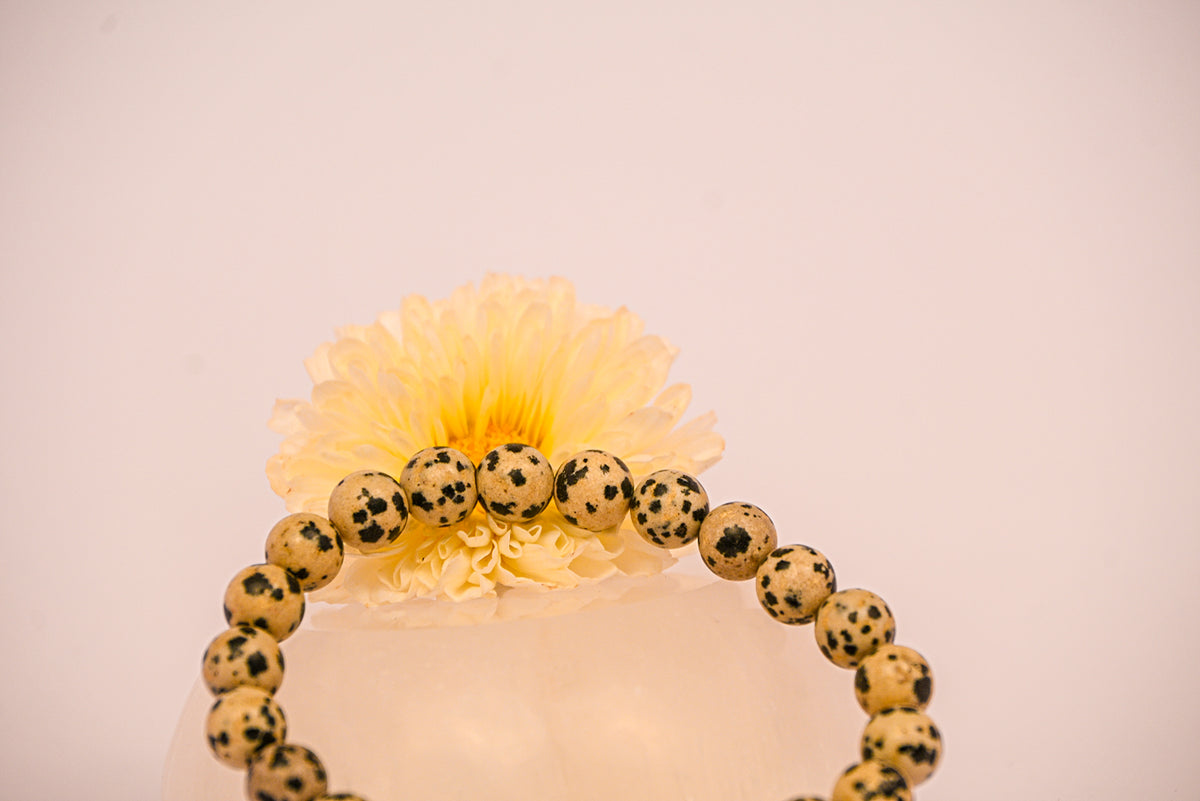 Kalavati Agate Dalmatian Jasper Crystal Bracelet