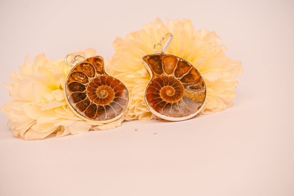 Kalavati Agate  Fossil Spiral Pendant