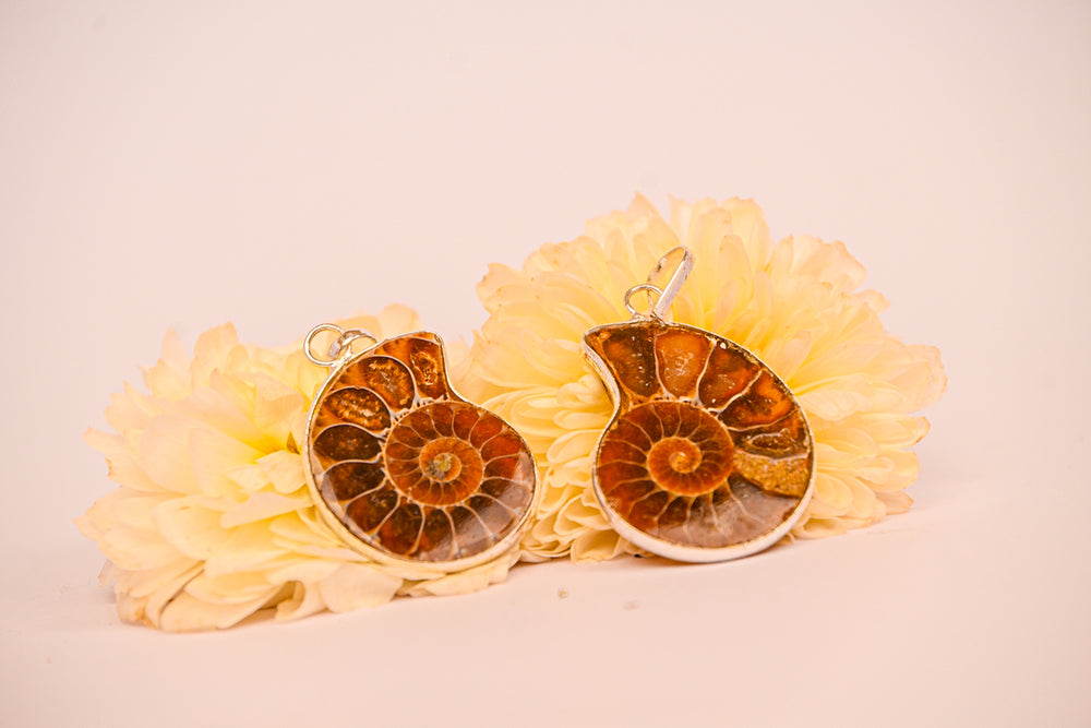 Kalavati Agate  Fossil Spiral Pendant
