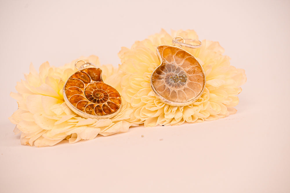 Kalavati Agate  Fossil Spiral Pendant