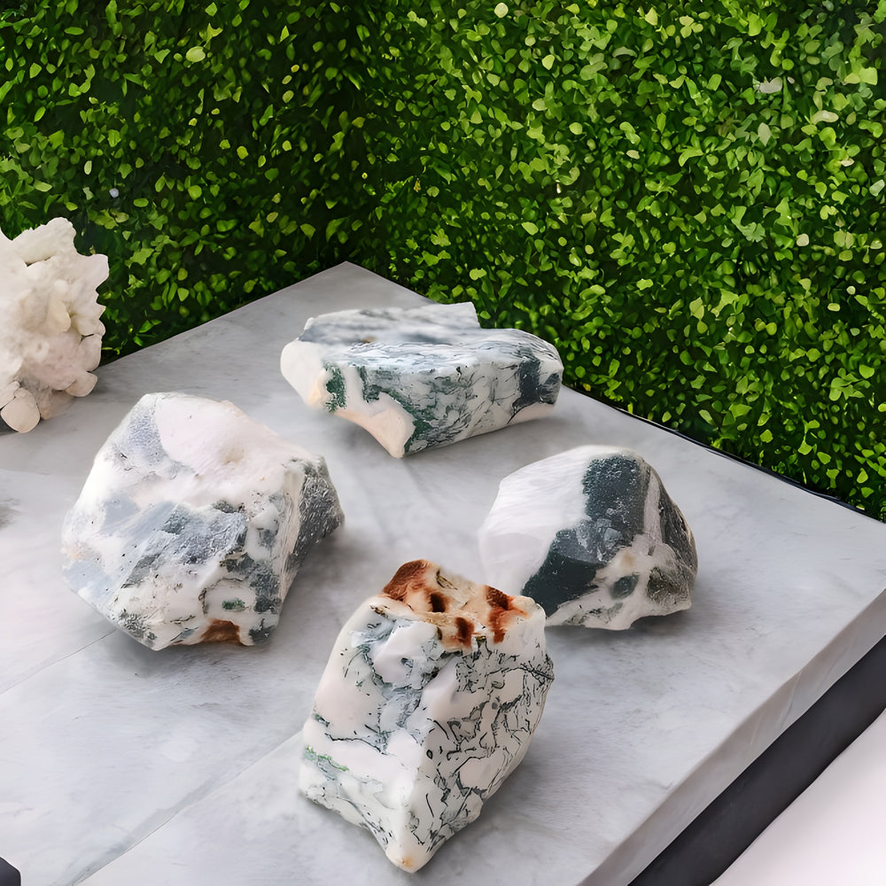 Kalavati Agate Premium Tree Agate Rough Crystal