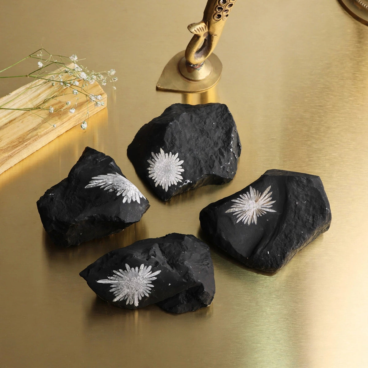Kalavati Agate Premium Raw Chrysanthemum Stone