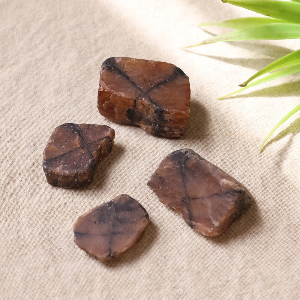 Kalavati Agate Premium Raw Chiastolite Stone