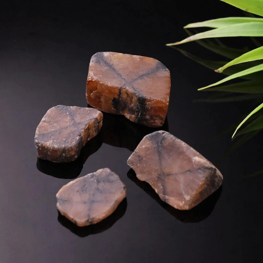 Kalavati Agate Premium Raw Chiastolite Stone