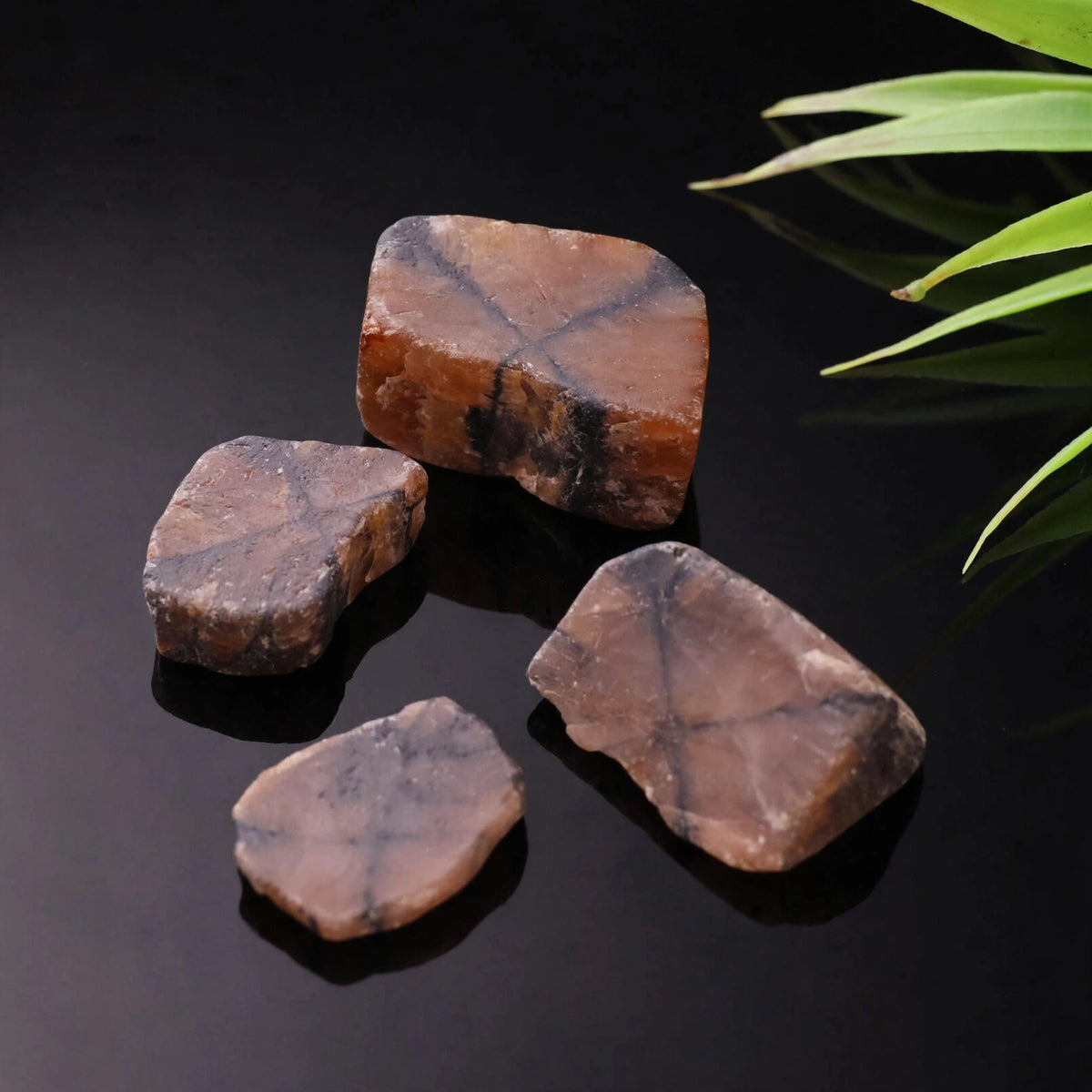 Kalavati Agate Premium Raw Chiastolite Stone