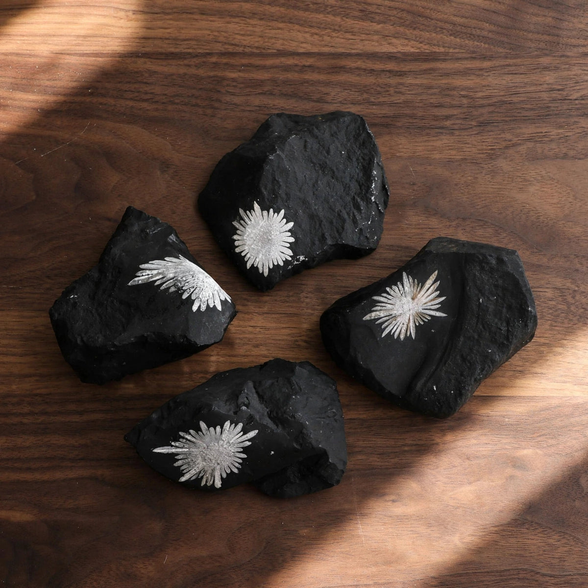 Kalavati Agate Premium Raw Chrysanthemum Stone