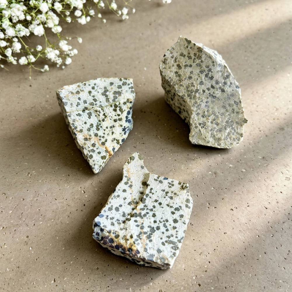 Kalavati Agate Premium Raw Dalmatian Jasper Stone
