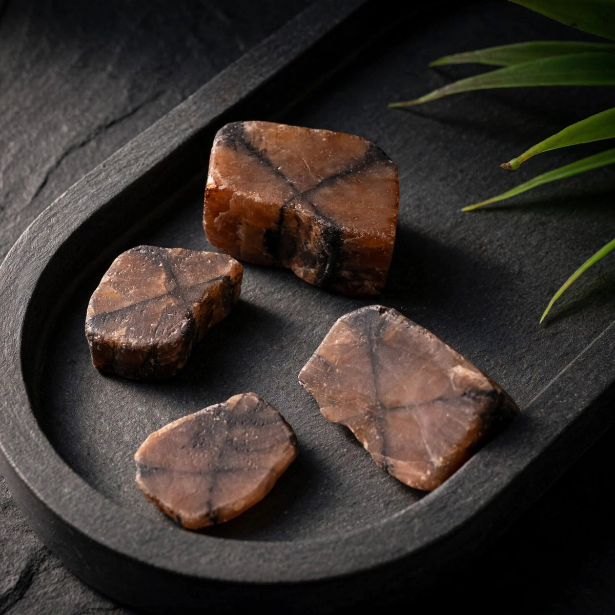 Kalavati Agate Premium Raw Chiastolite Stone
