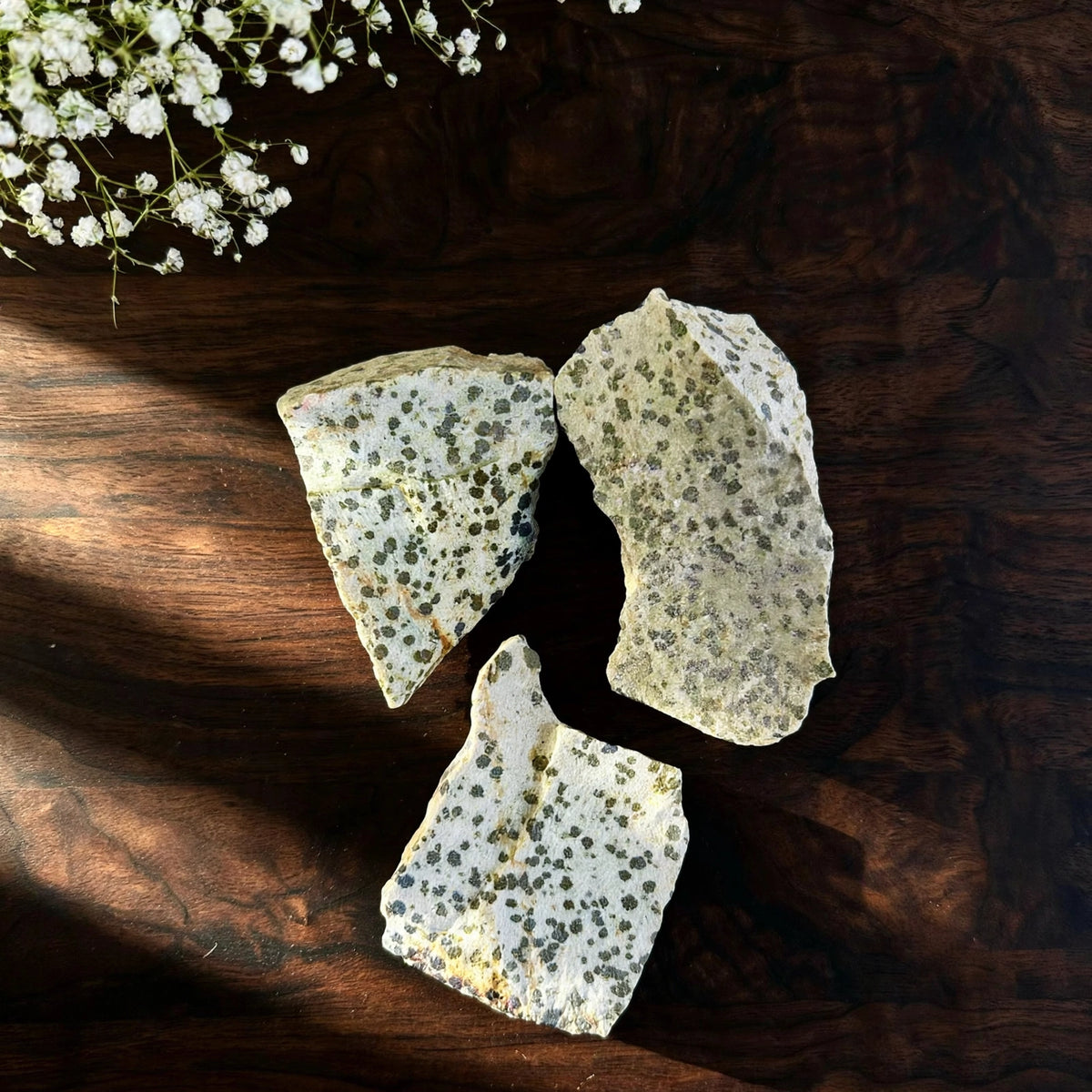 Kalavati Agate Premium Raw Dalmatian Jasper Stone
