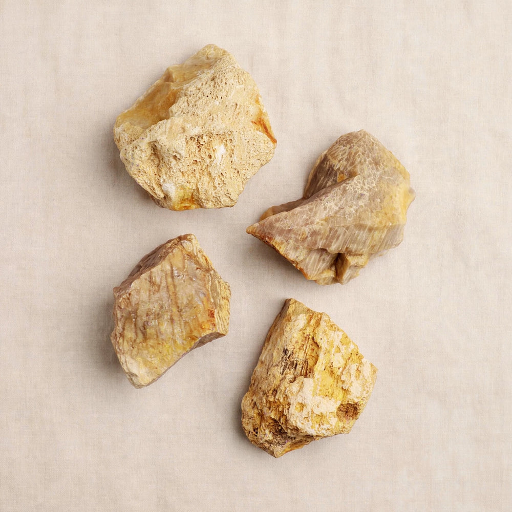 Kalavati Agate Premium Raw Yellow Fossil Coral Stone