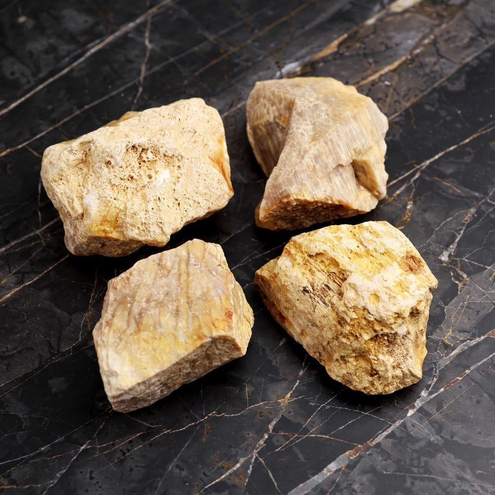 Kalavati Agate Premium Raw Yellow Fossil Coral Stone