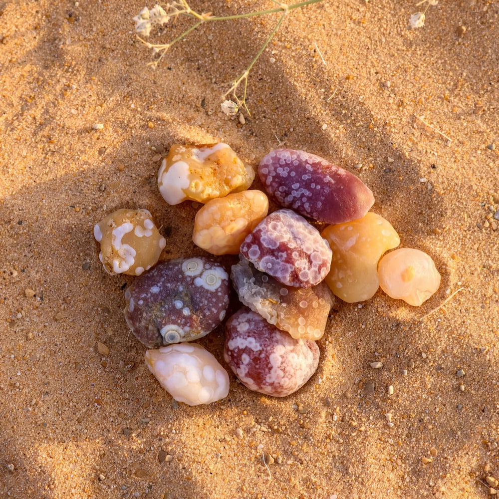 Kalavati Agate Premium Raw Colorful Spotted Gobi Desert Stone