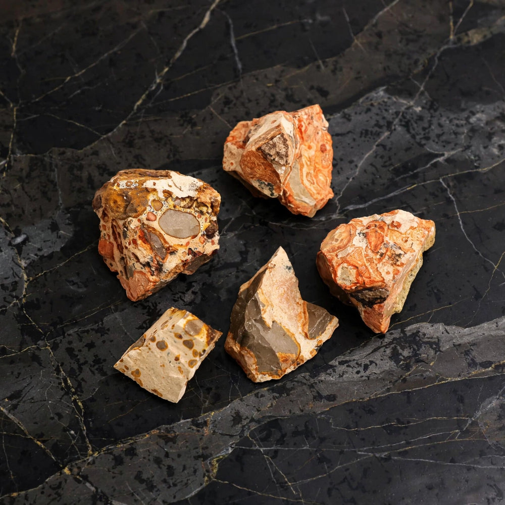 Kalavati Agate Premium Raw Leopard Skin Jasper Stone