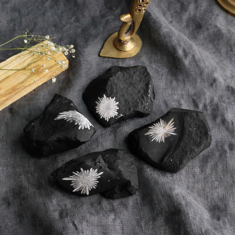 Kalavati Agate Premium Raw Chrysanthemum Stone