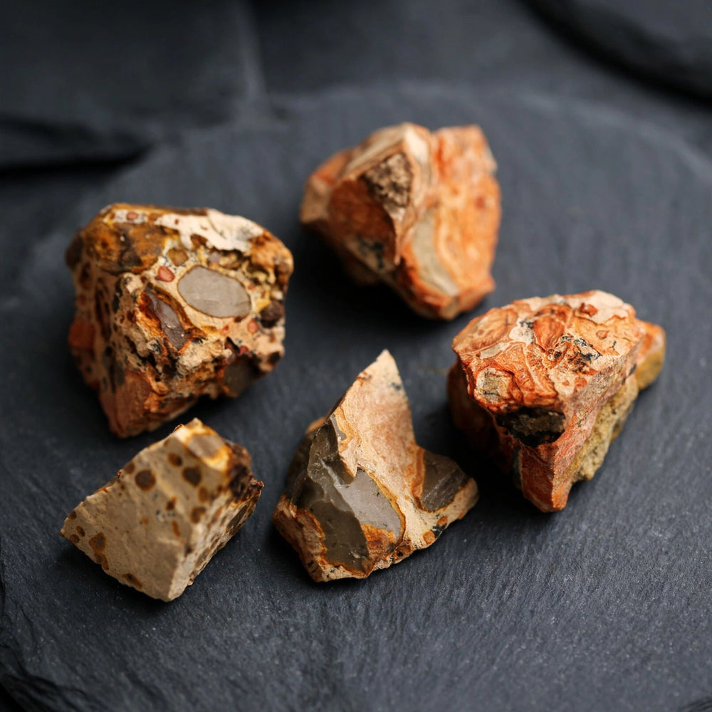 Kalavati Agate Premium Raw Leopard Skin Jasper Stone