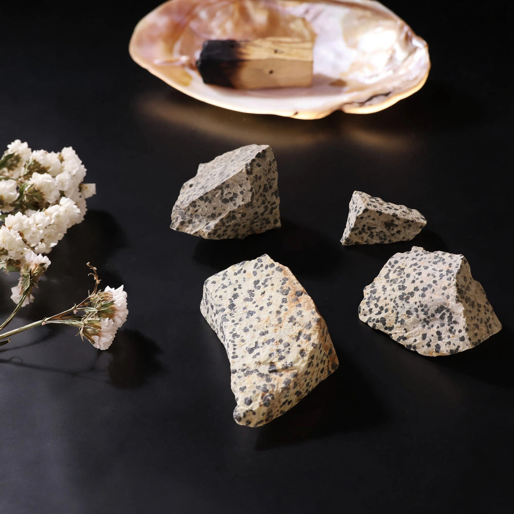 Kalavati Agate Premium Raw Dalmatian Jasper Stone