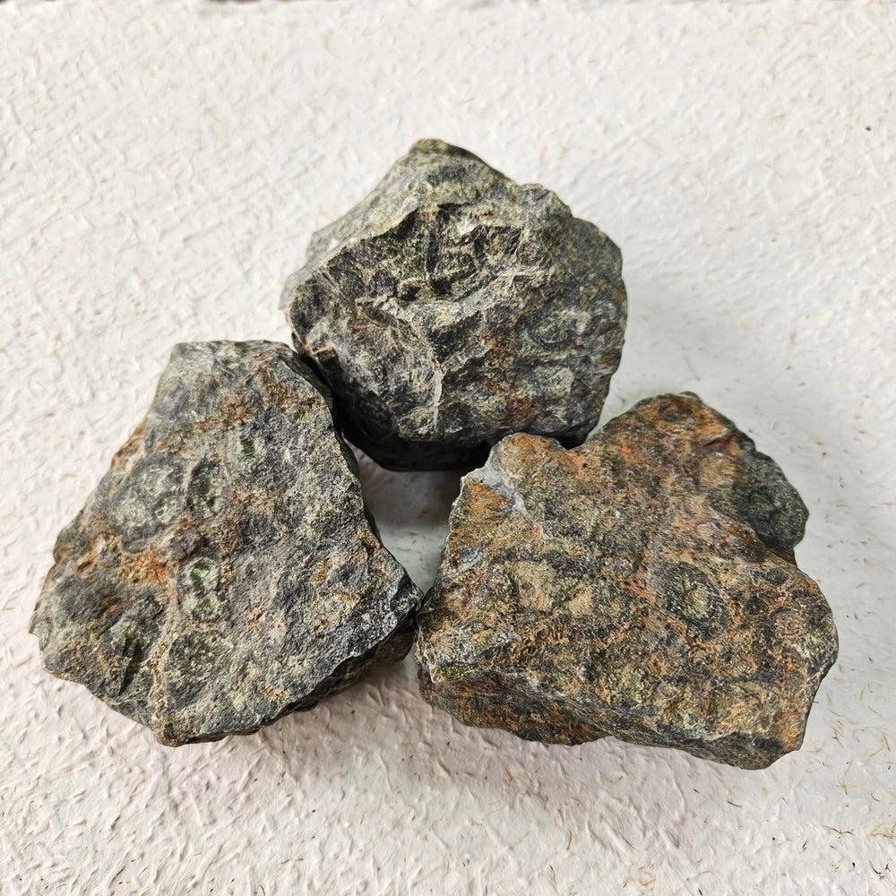 Kalavati Agate Premium Raw Kambaba Jasper Stone
