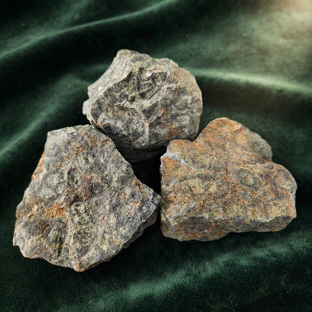 Kalavati Agate Premium Raw Kambaba Jasper Stone