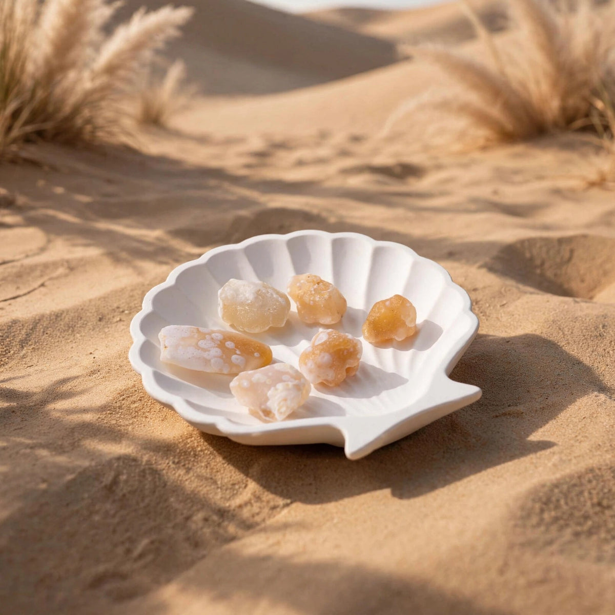 Kalavati Agate Premium Raw White Gobi Desert Stone