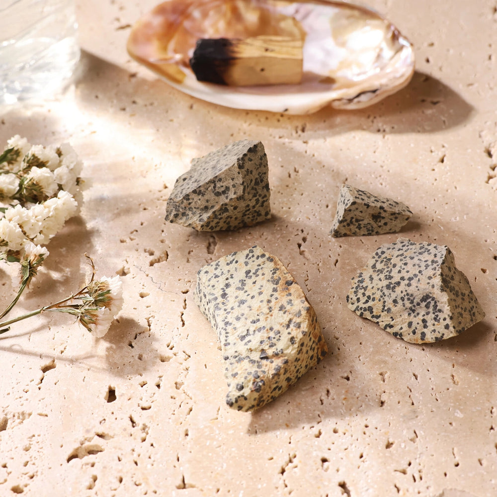 Kalavati Agate Premium Raw Dalmatian Jasper Stone